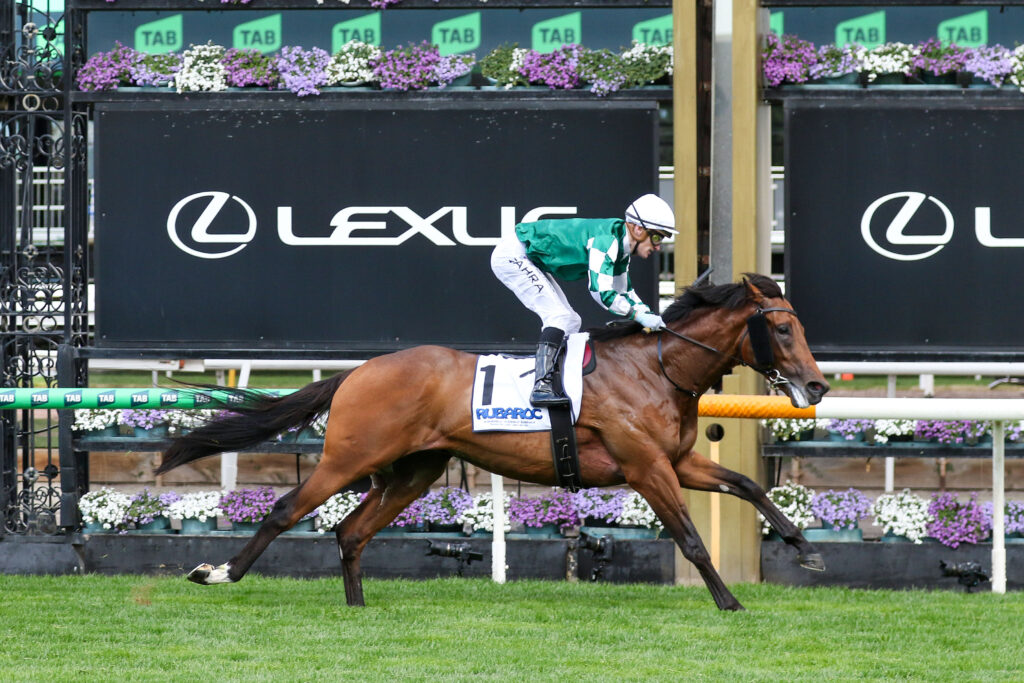 0VINROCK9A0398 | Just Horse Racing
