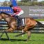 2169958.jpg | Just Horse Racing