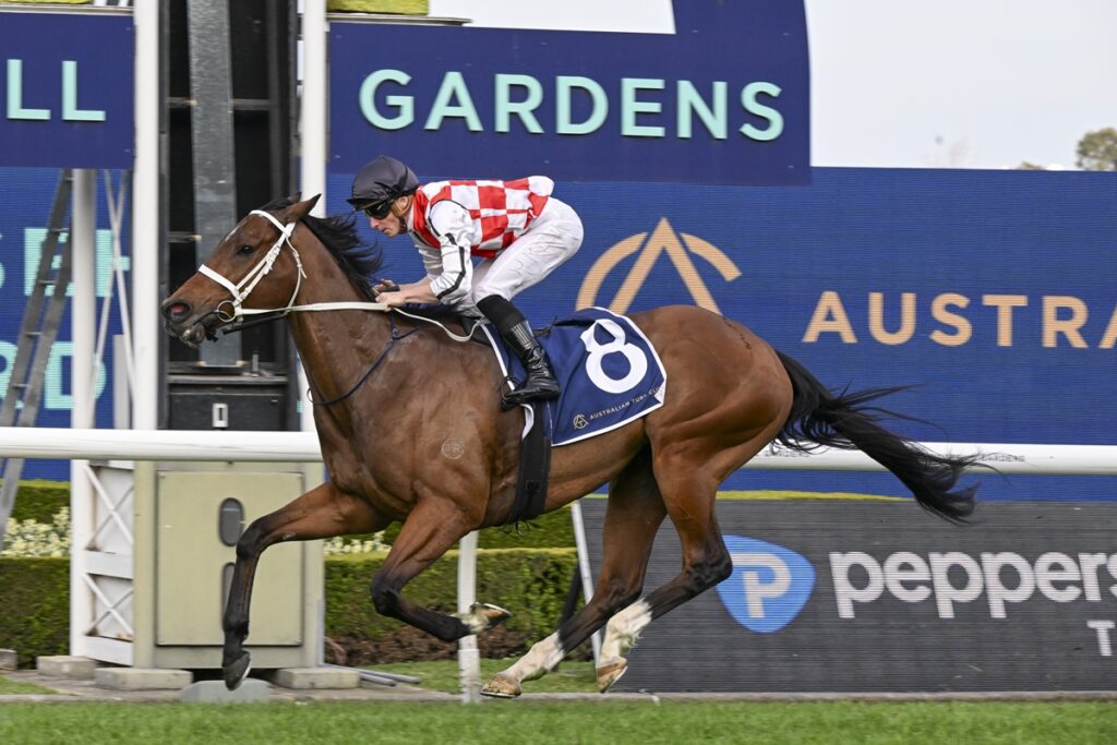 2174159.jpg | Just Horse Racing