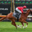 FLEMINGTON_21_9_2025 RACE 2 AFTER SUMMER (10) | Just Horse Racing