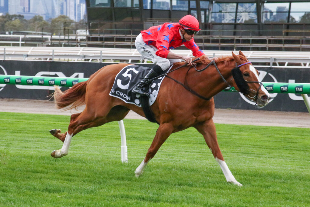 Ethereal Stakes Likely Field – 2025 | Just Horse Racing