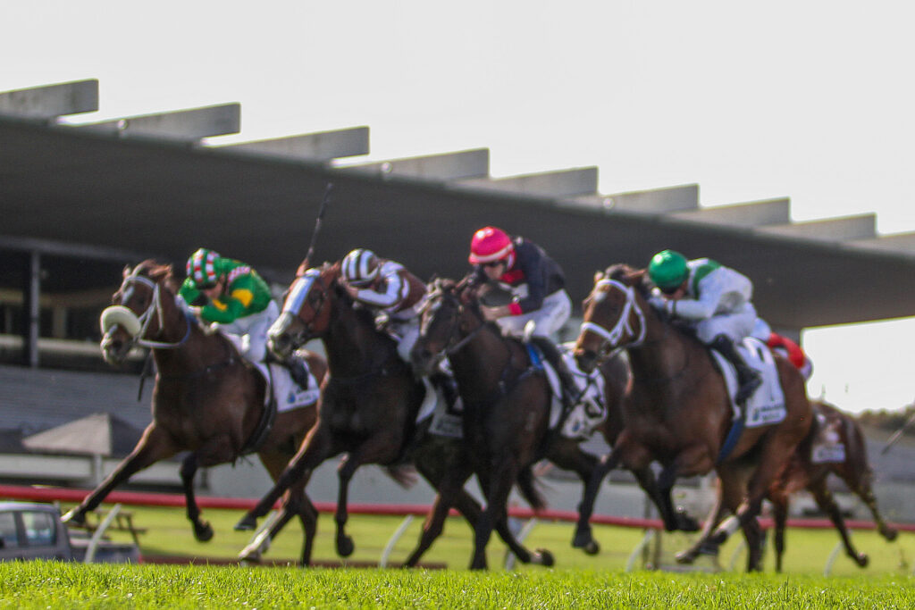 IMG_0361 | Just Horse Racing