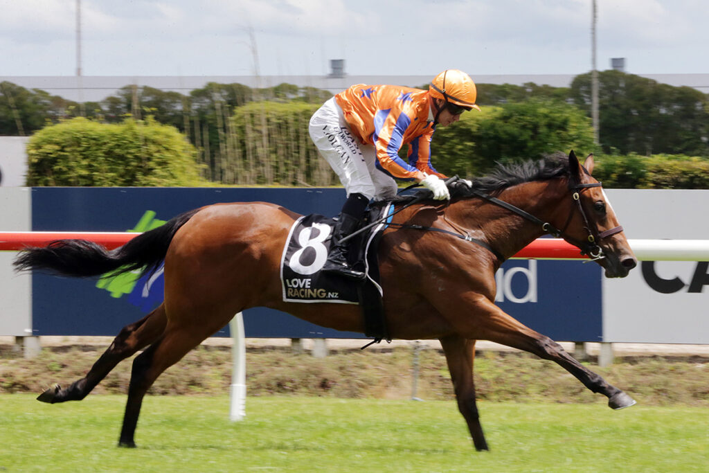 La Dorada | Just Horse Racing