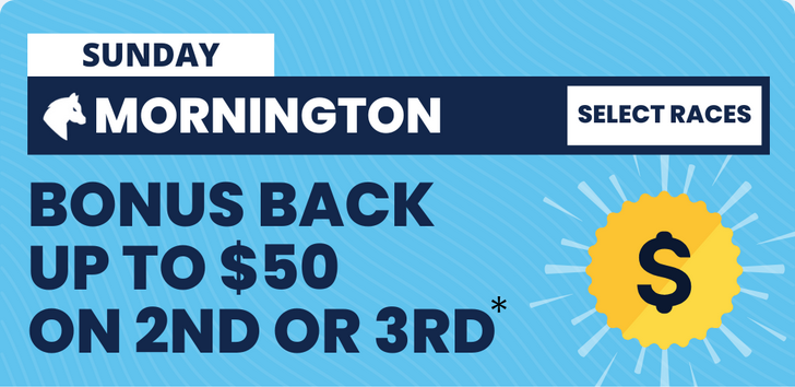 Mornington Sunday | Just Horse Racing