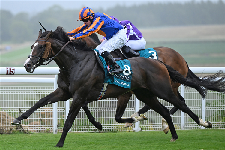 Scandinavia | Just Horse Racing