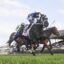 2169294.jpg | Just Horse Racing