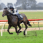 Tuxedo | Just Horse Racing