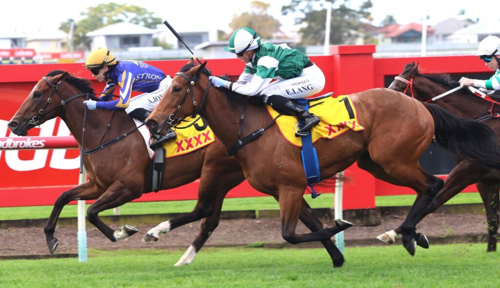 impervious 2 | Just Horse Racing
