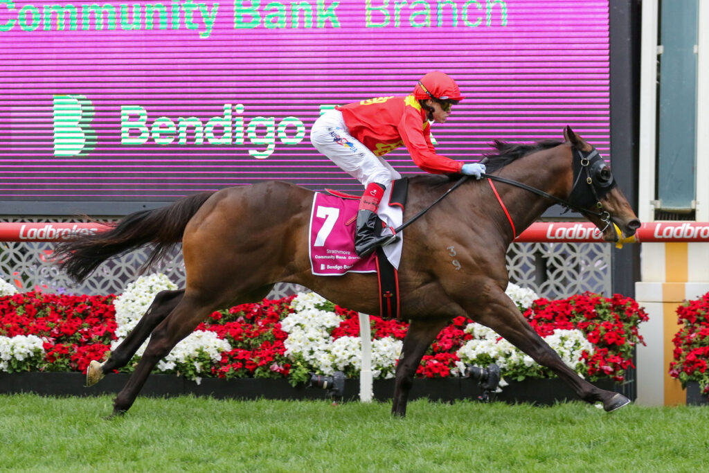 0BEAST MODE9A0063 | Just Horse Racing