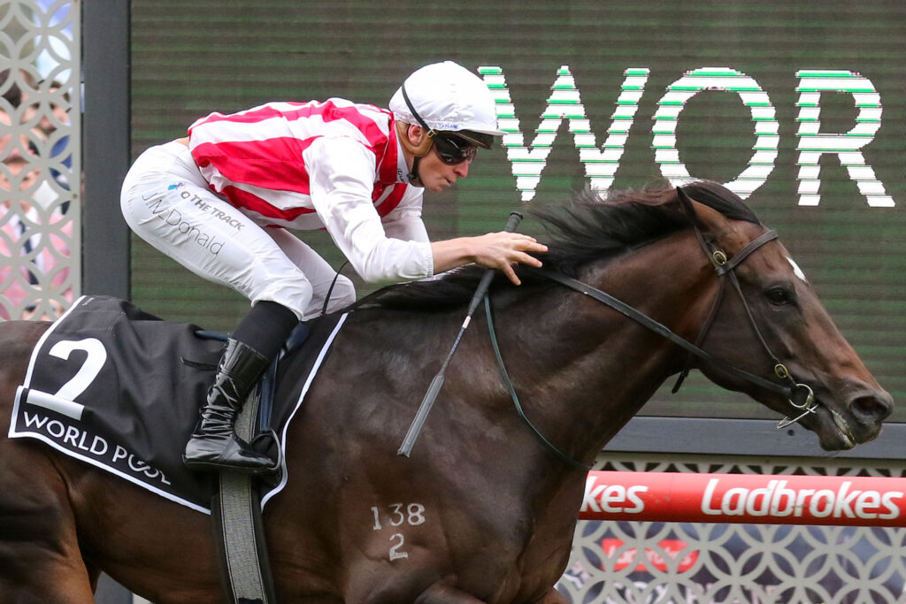 0NAPOLEONIC9A0236 | Just Horse Racing
