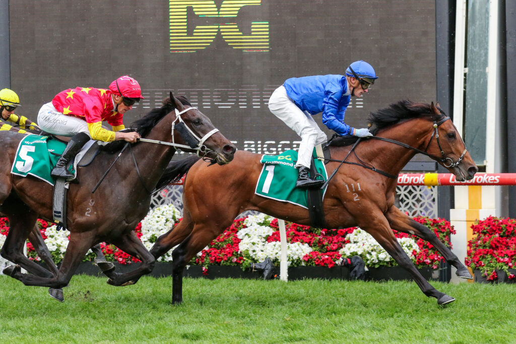 0OBSERVER9A1318 | Just Horse Racing