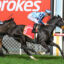 0ONESMOOTHOPERATOR9A0748 | Just Horse Racing