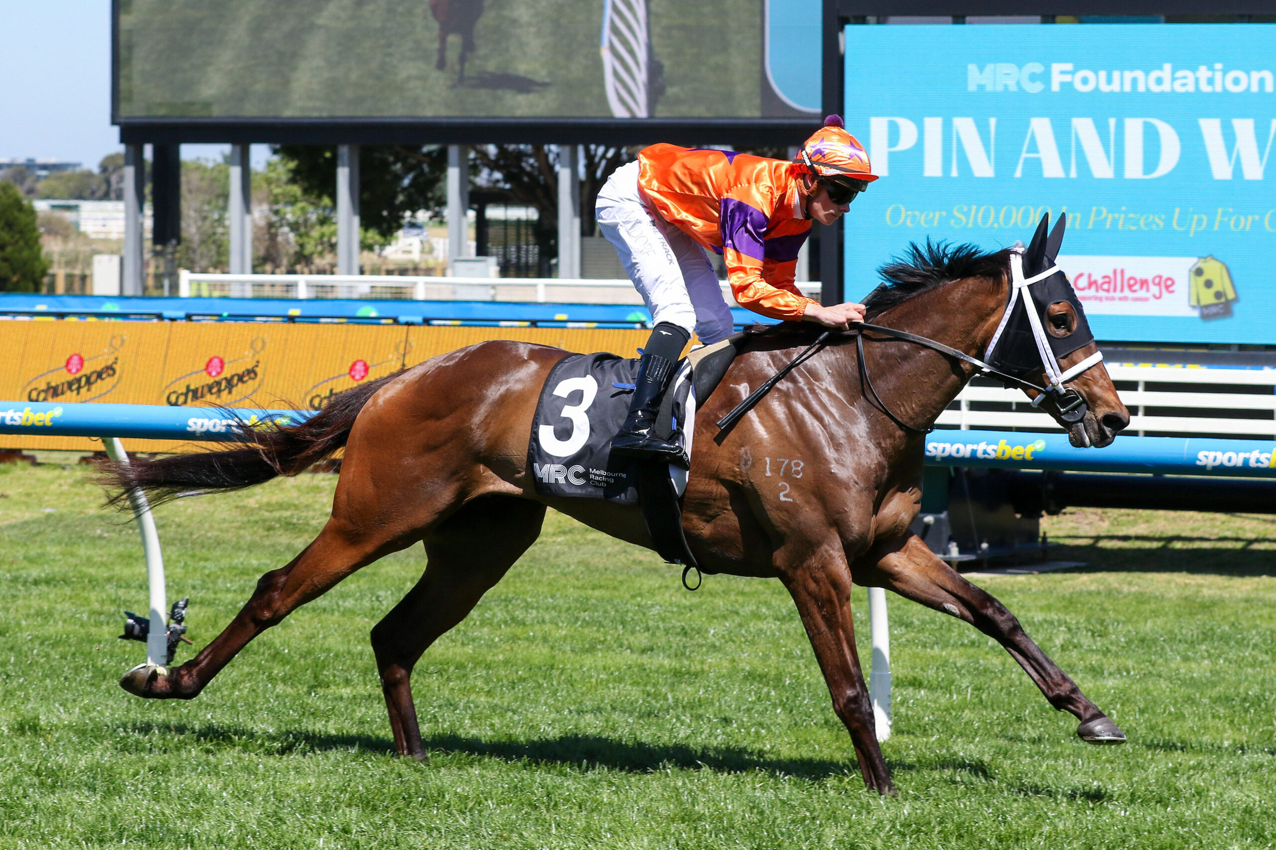 Toorak Handicap a lottery for punters and bookmakers