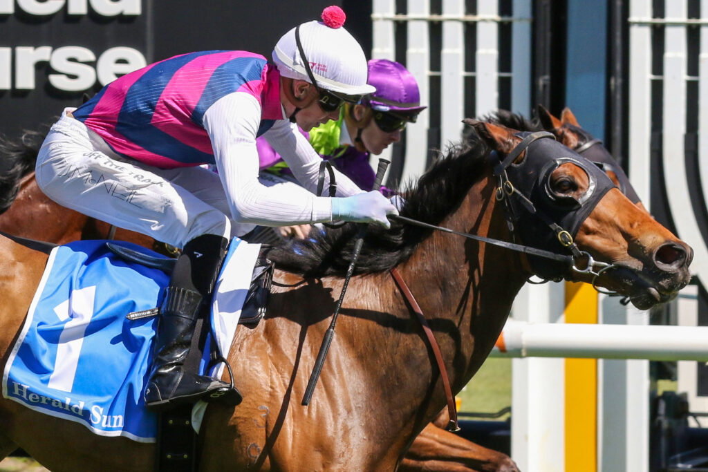 0REY MAGNERIO9A1582 | Just Horse Racing