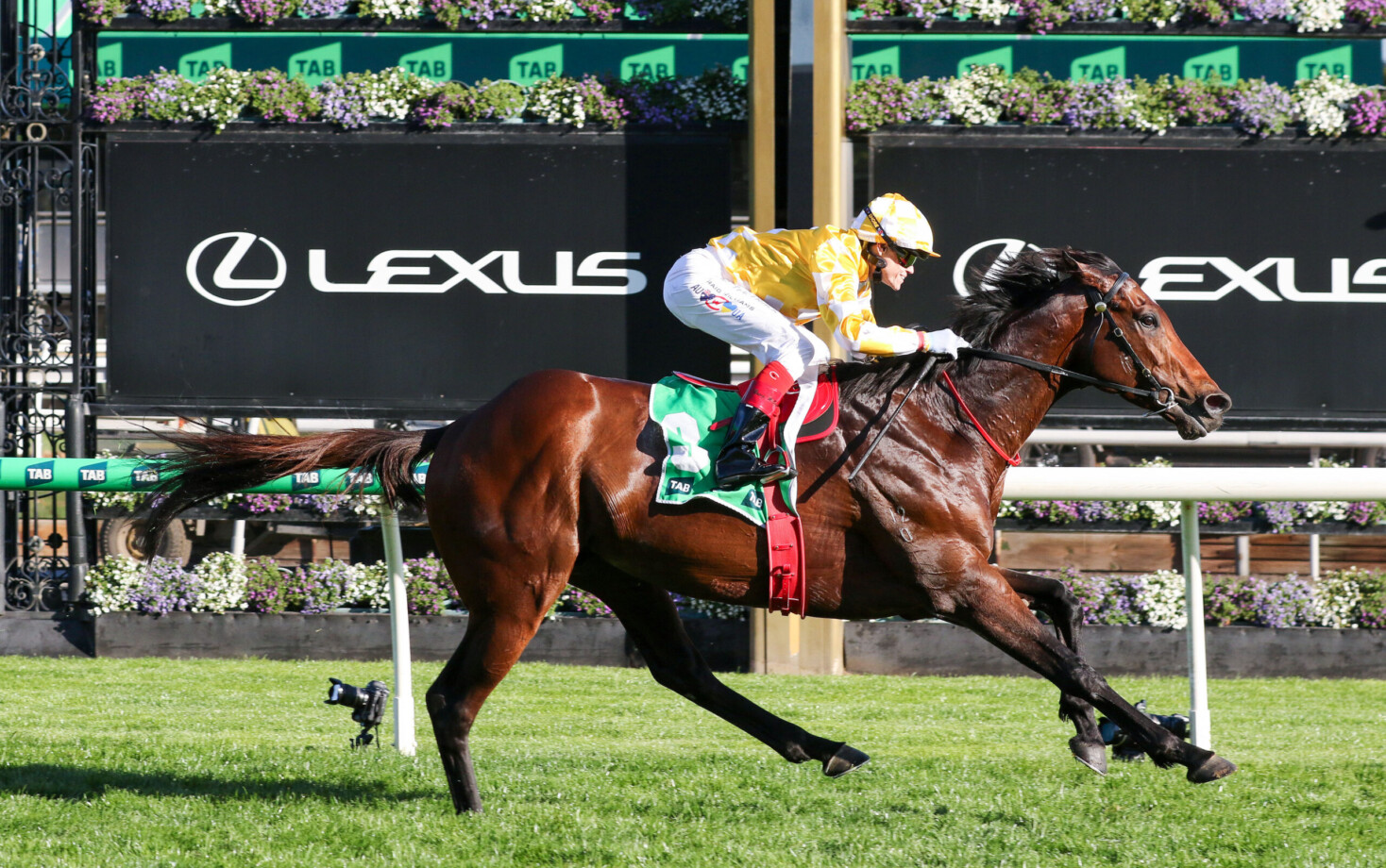 Cox Plate nominations – 2026 | Just Horse Racing