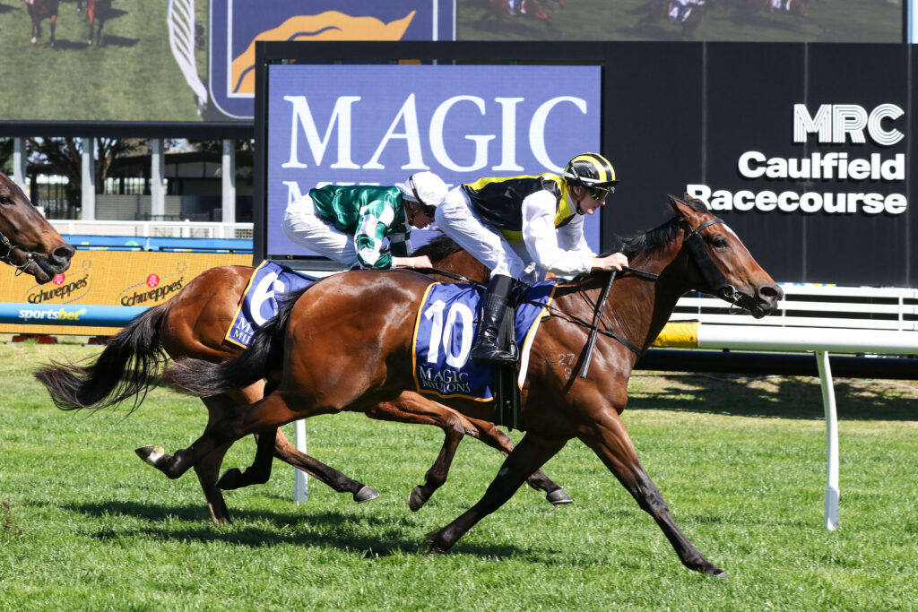 0TORTURE9A0810 | Just Horse Racing