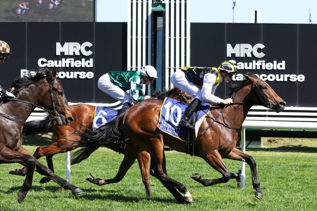 0TORTURE9A0812 | Just Horse Racing