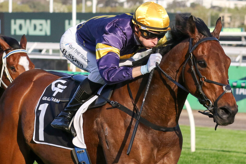 0WAR MACHINE9A1727 | Just Horse Racing