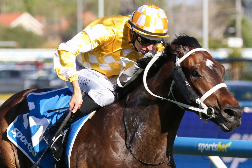 0WOOTTON VERNI9A1413 | Just Horse Racing