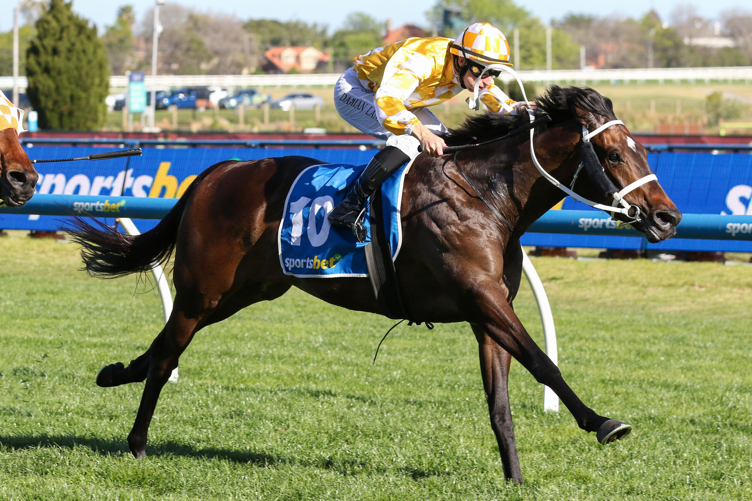 Lure Racing Rosehill Gold Cup cash lures Wootton Verni home | Just Horse Racing