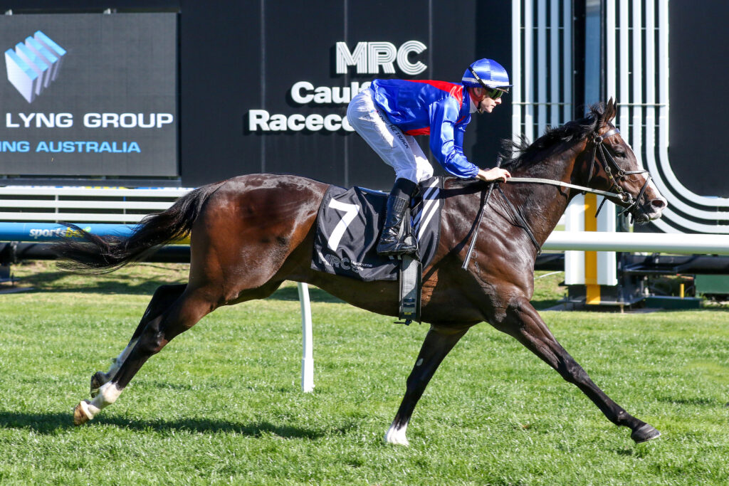 0ZAMBARDO9A1267 | Just Horse Racing