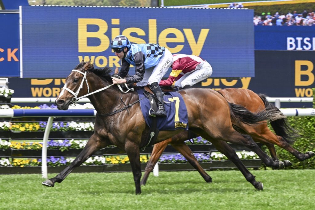 2184998.jpg | Just Horse Racing