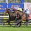 2185499.jpg | Just Horse Racing
