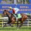Ka Ying Rising | Just Horse Racing