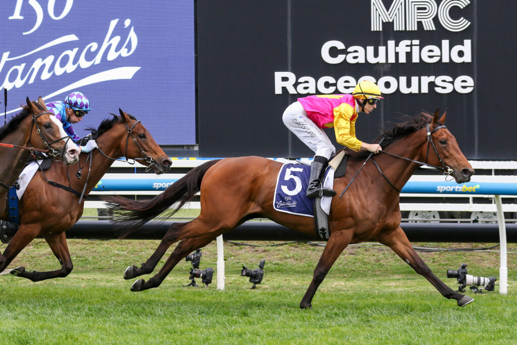 CAULFIELD_11_10_2025 RACE 4 OH TOO GOOD (10) | Just Horse Racing