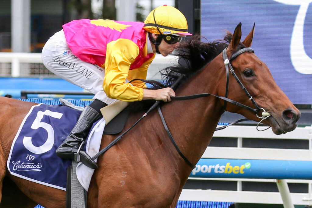 CAULFIELD_11_10_2025 RACE 4 OH TOO GOOD (8) | Just Horse Racing