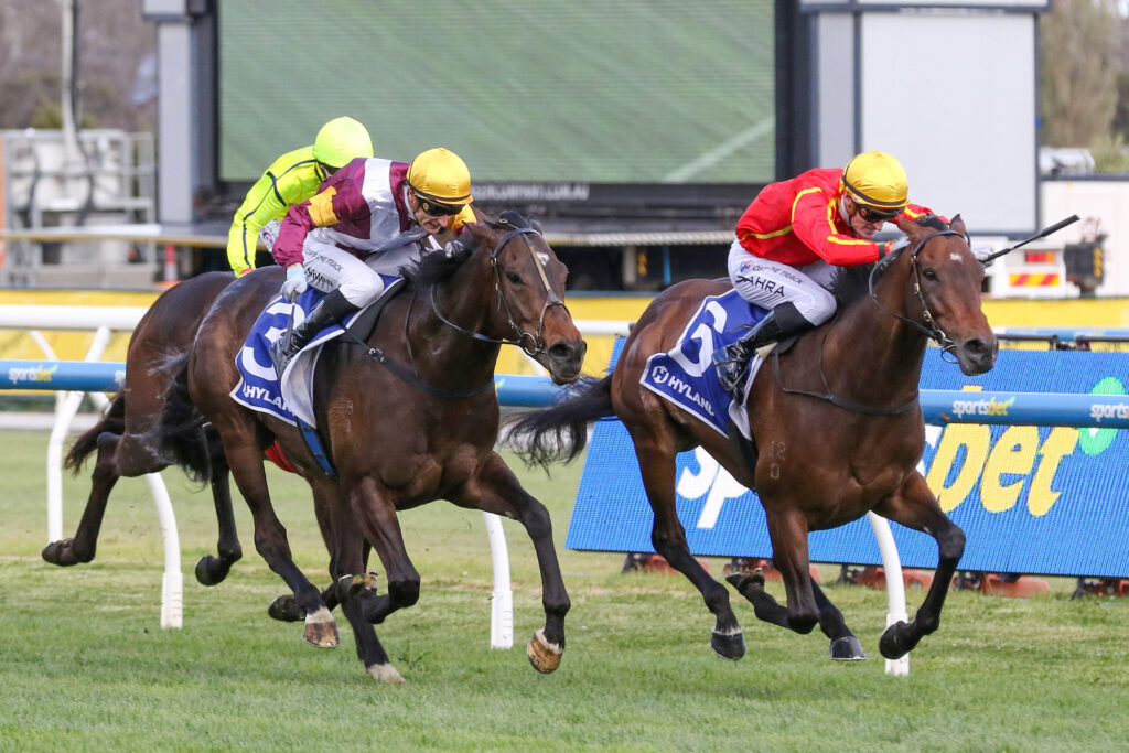 CAULFIELD_11_10_2025 RACE 7 TRANSATLANTIC (15) | Just Horse Racing