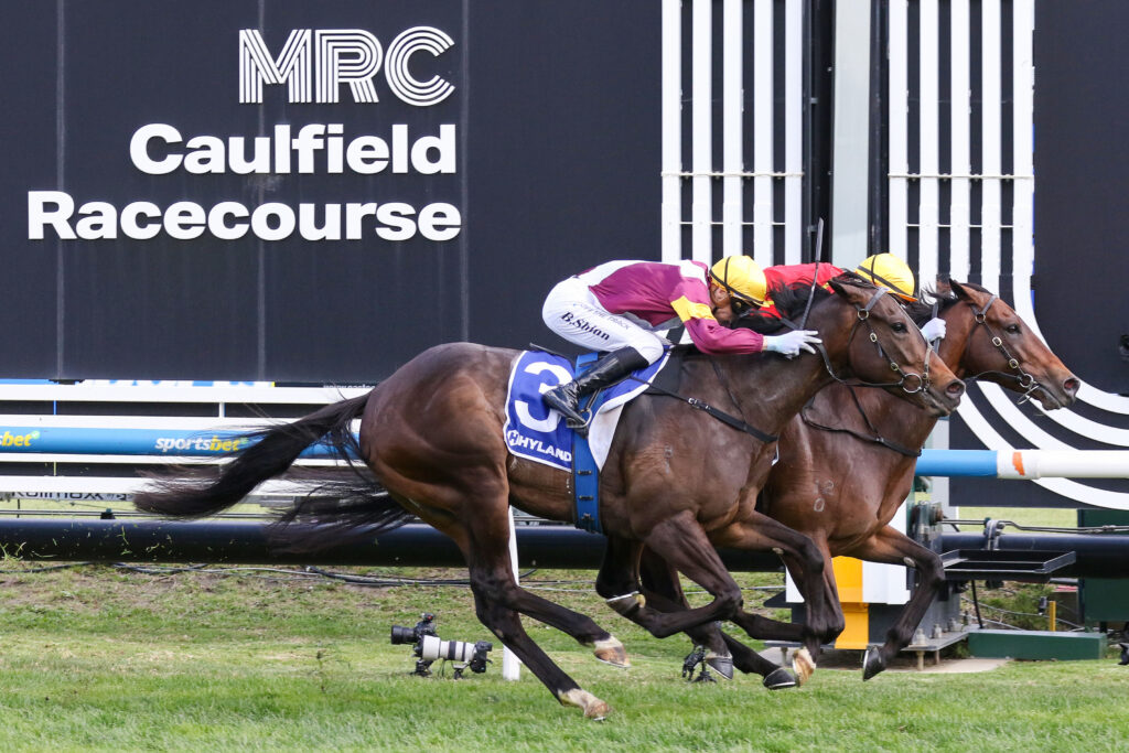 CAULFIELD_11_10_2025 RACE 7 TRANSATLANTIC (7) | Just Horse Racing