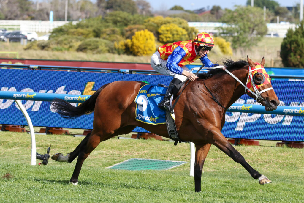 CAULFIELD_11_10_2025 RACE 8 AUTUMN BOY (9) | Just Horse Racing