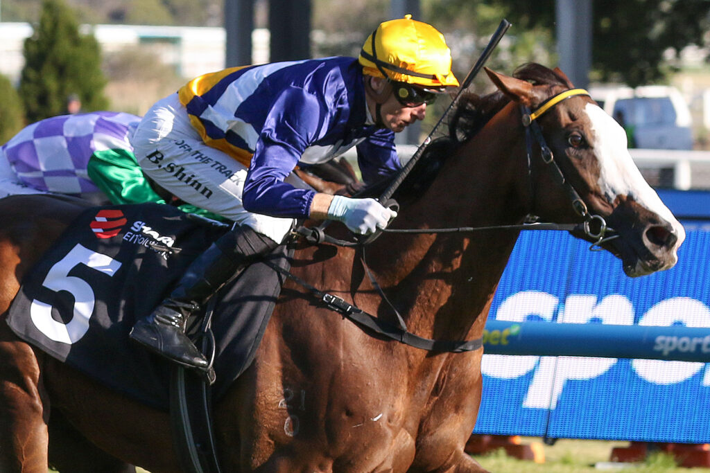 CAULFIELD_18_10_2025 RACE 10 ABOUNDING (6) | Just Horse Racing