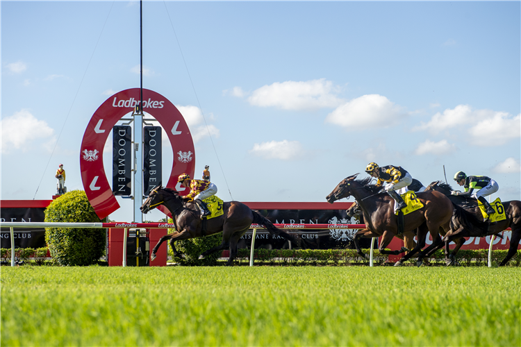 21/2/2026 Horse Racing Tips and Best Bets – Doomben | Just Horse Racing