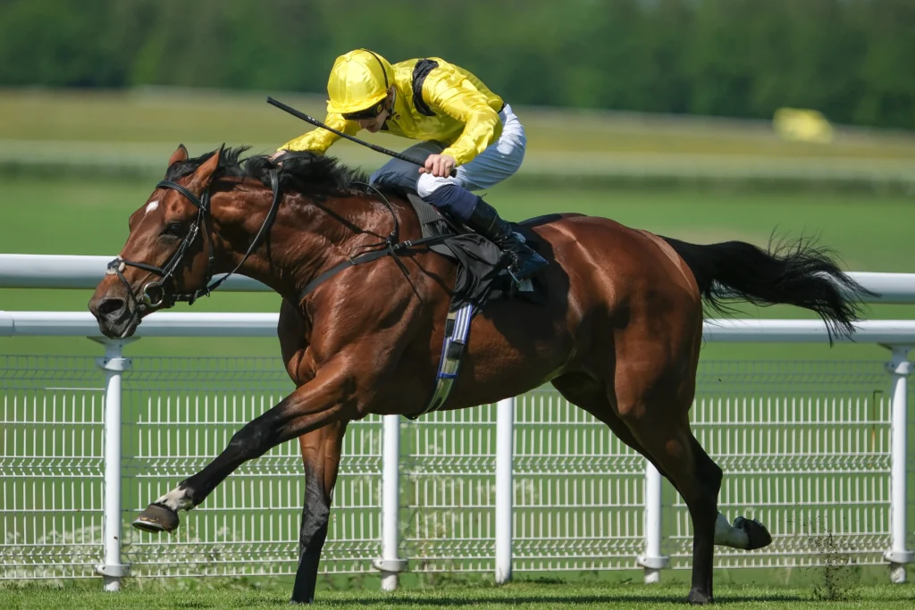 Meydaan | Just Horse Racing