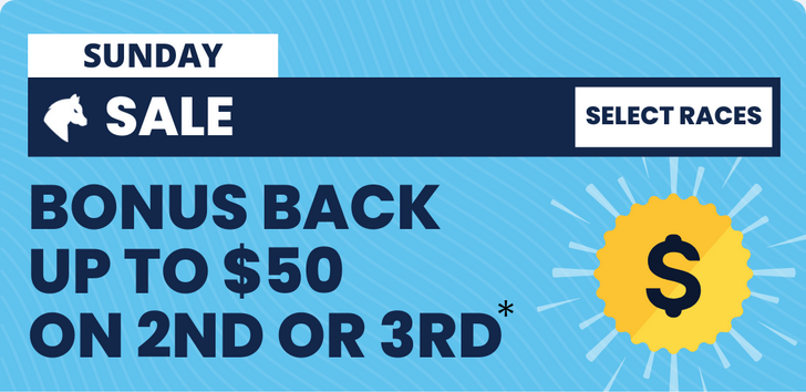 Sale Sunday | Just Horse Racing