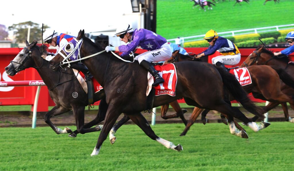keitel 1 | Just Horse Racing