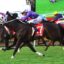 keitel 1 | Just Horse Racing