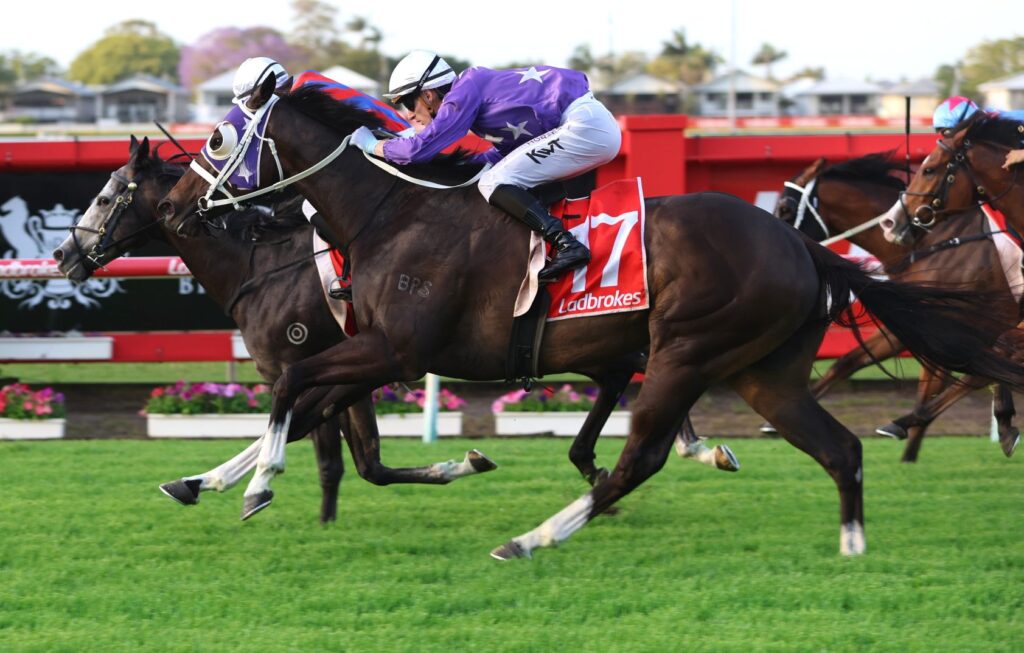 keitel 3 | Just Horse Racing