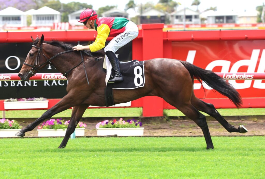 remembrall 3 | Just Horse Racing