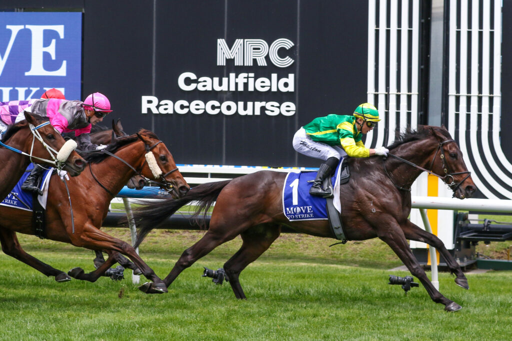0BLACK RUN9A0411 | Just Horse Racing