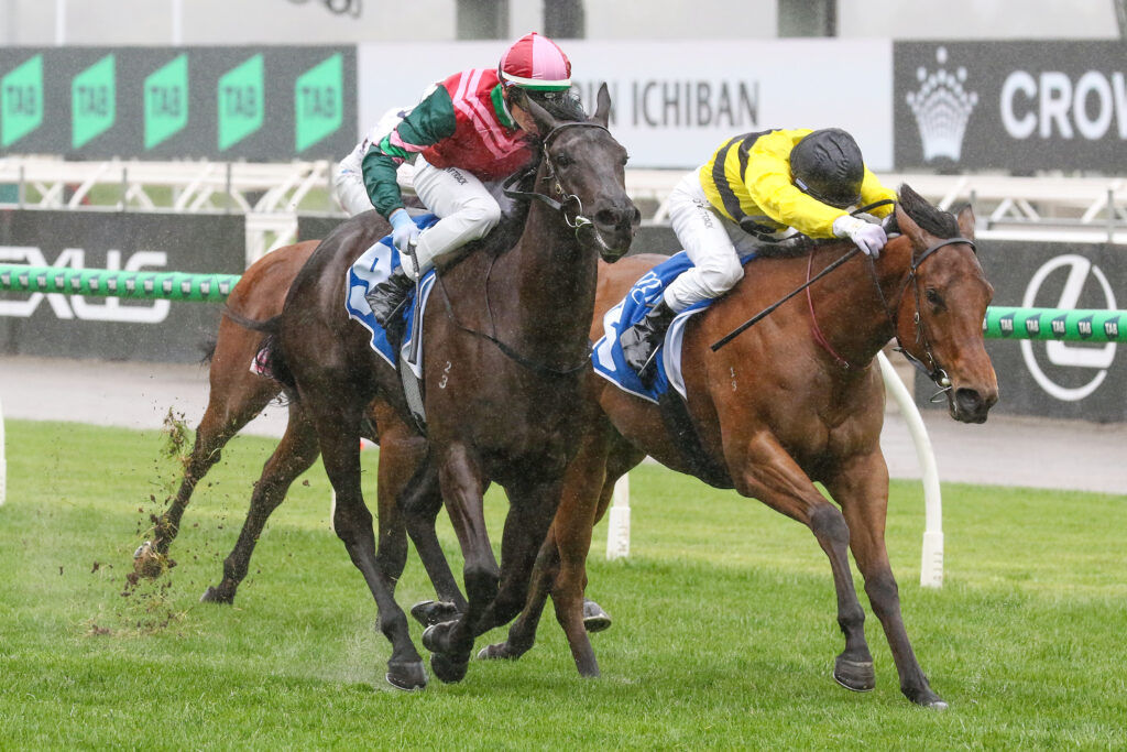 0CALAMARI RING9A0061 | Just Horse Racing