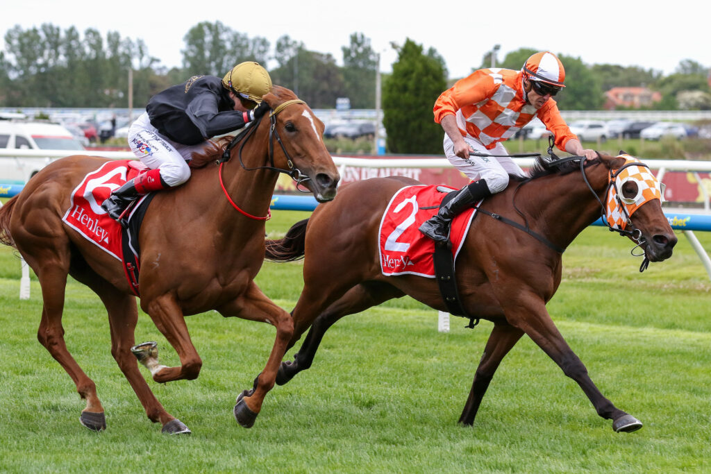 0CASINO SEVENTEEN9A0965 | Just Horse Racing
