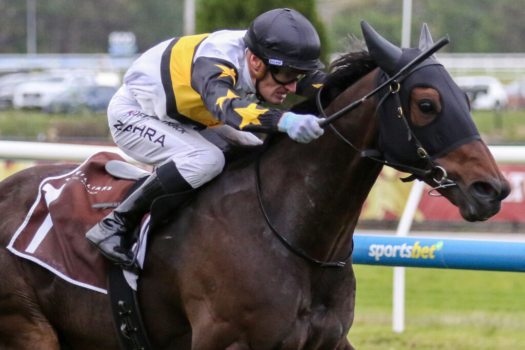 0HERE TO SHOCK9A1472 | Just Horse Racing