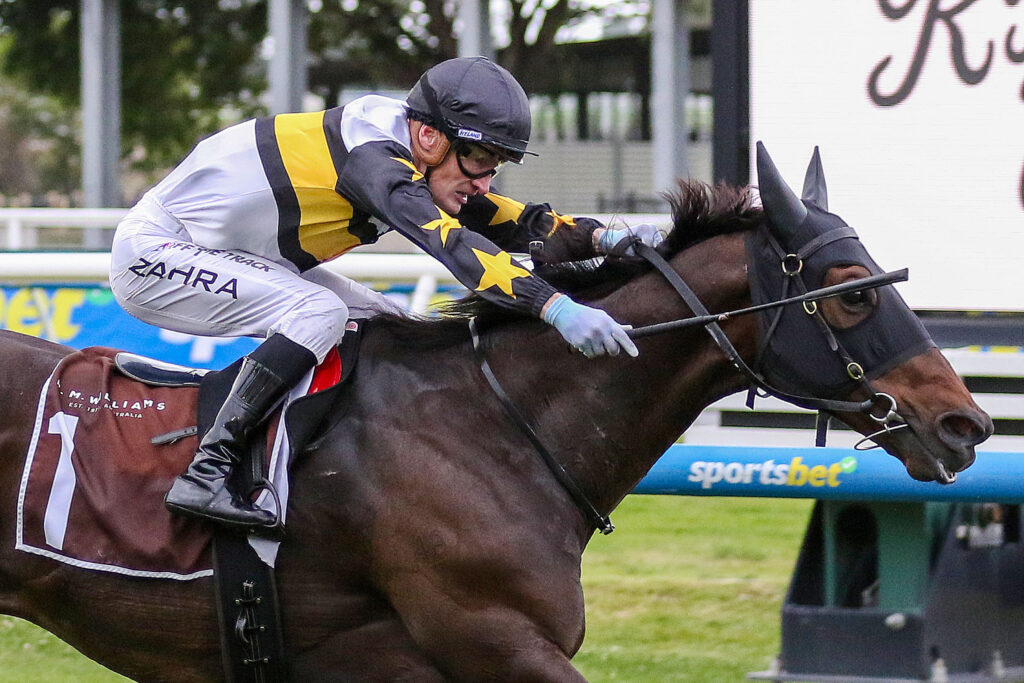 0HERE TO SHOCK9A1478 | Just Horse Racing