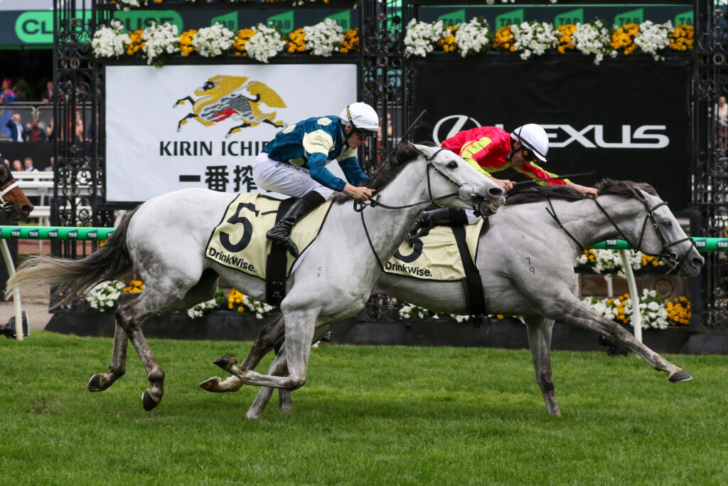0KINGSWOOD9A1019 | Just Horse Racing