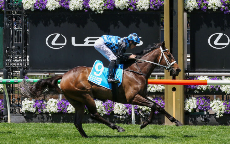 Equal favourites in wide open field for The Roses at Doomben | Just ...