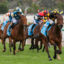 0PERSIAN SPIRIT9A2206 | Just Horse Racing