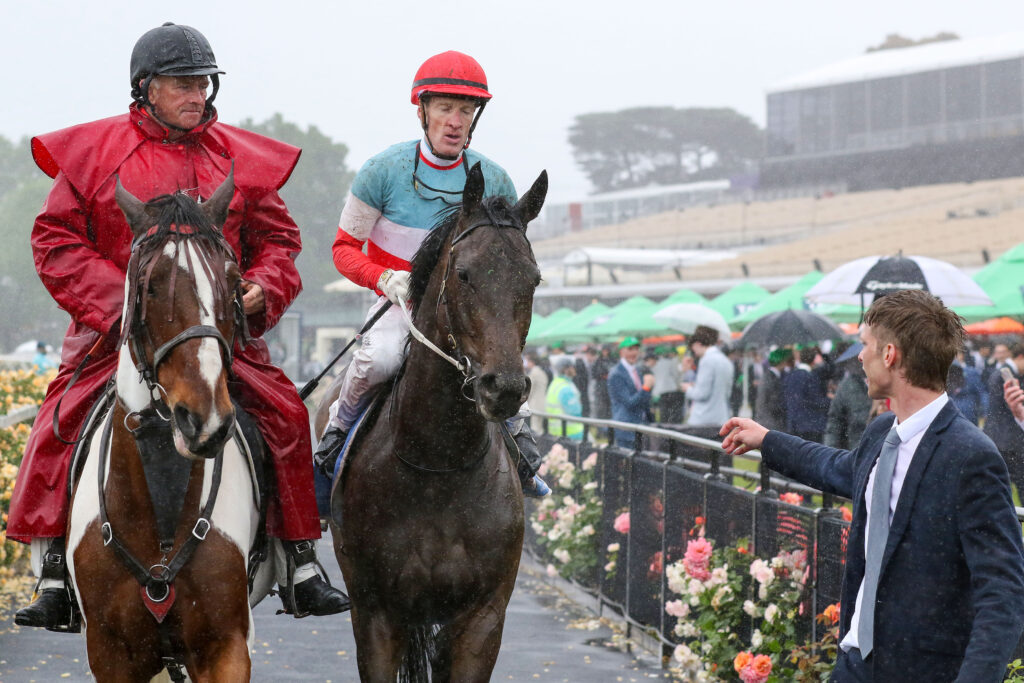 0SABAJ9A0208 | Just Horse Racing